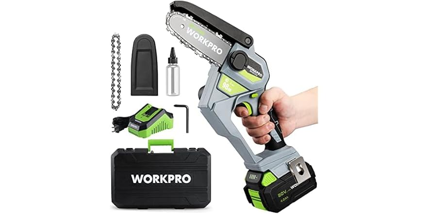 Workpro WORKPRO 6.3 Inch Mini Chainsaw Kit, 20V (Open Box)