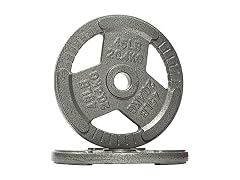 Fitvids Cast Iron Plate Weight Plate, 45LB (Set of 2)