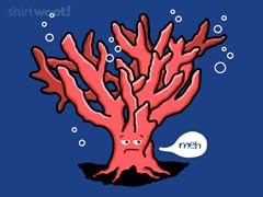 At the O.K. Coral