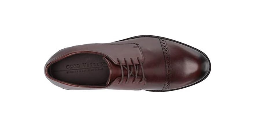 ecco vitrus ii plain toe tie