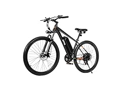 Qlife Racer Electric Bike (Black)