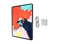 Apple 2021 11-inch iPad Pro (Wi-Fi, 256GB)
