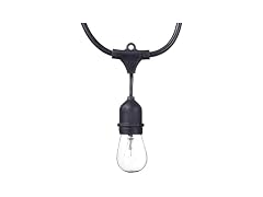 Globe Electric Dublin Collection, 48', S14, LED String Light Set