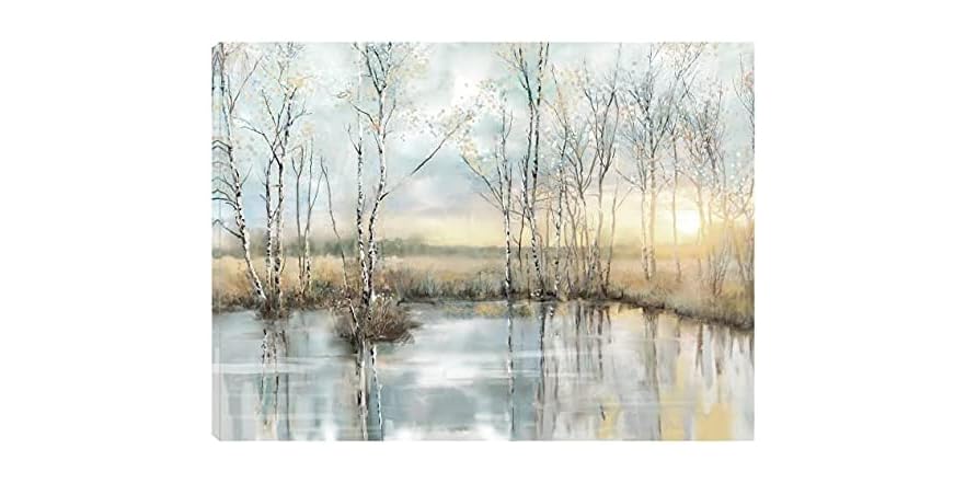 Calm Reflections Canvas Print