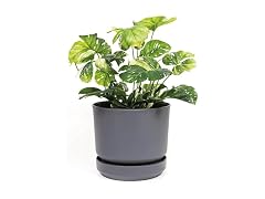 Elly Décor 8" Plastic Cylinder Planter