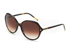 Dark Tortoise CL2252 Sunglasses