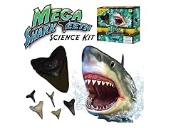 Mega Shark Teeth Science Kit