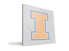 Illinois Fighting Illini