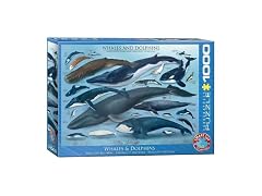 EuroGraphics Whales & Dolphins