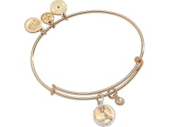 Alex and Ani Zodiac Charm Bangle (One Size)