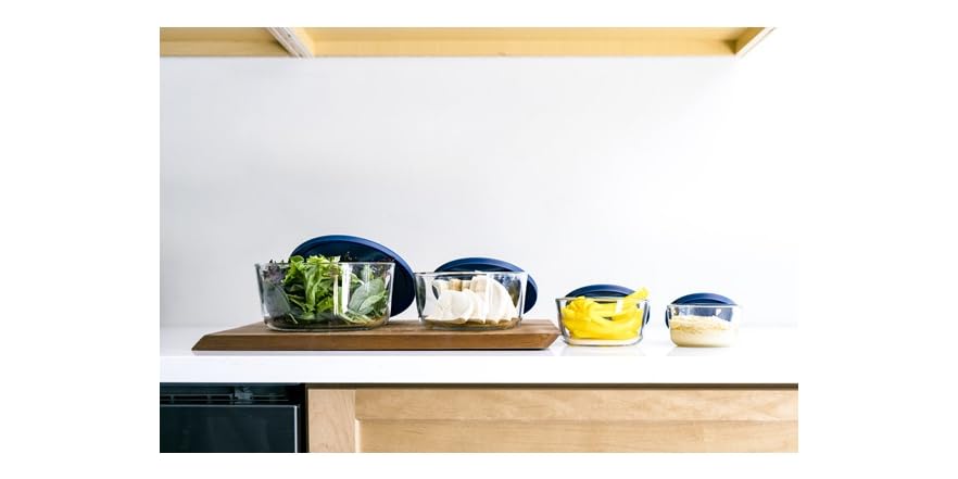 4 Piece Blue Nested Food Storage Set