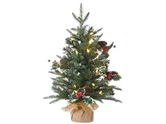 National Tree Company 2 ft. Pre-Lit Happy Hill Pine Tree