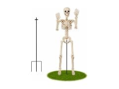 Anrtrog 36" Halloween Skeleton W/ Stand