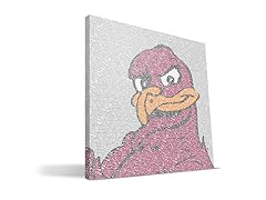 Virginia Tech Hokies