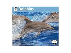 Carousel Calendars, Dolphins WWF 2026 W