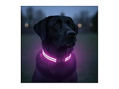 Tractive LED Light Up Dog Collar USB Rechargeable Pink Small