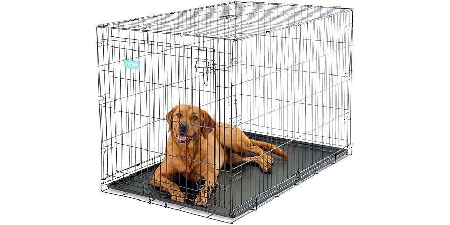 Snapshot of Dog Crate Toys With Metal Components