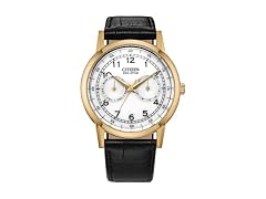 Citizen Watch, Gold Tone