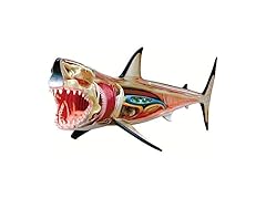 TEDCO 4D Vision Great White Shark Puzzles