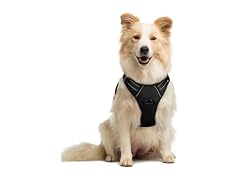 rabbitgoo Dog Harness, No Pull Medium Sized