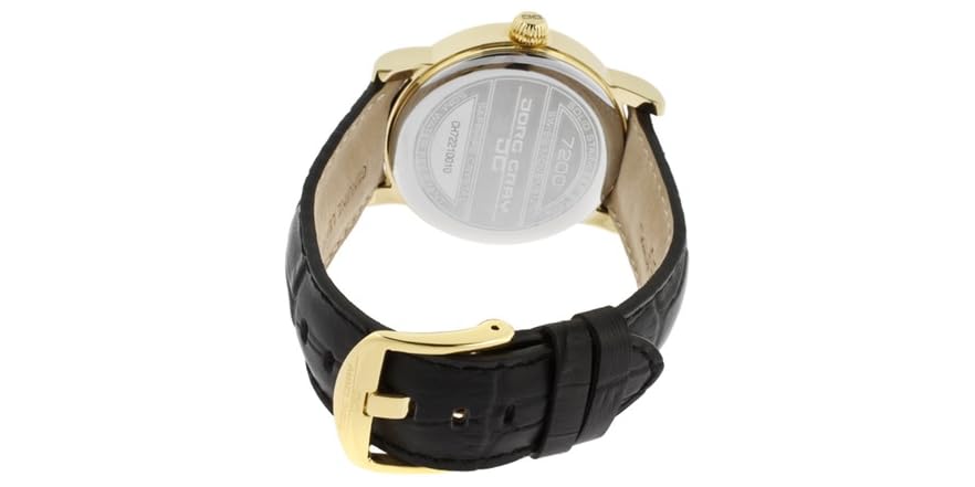 Men\u002639;s Swiss 3Hand Watch