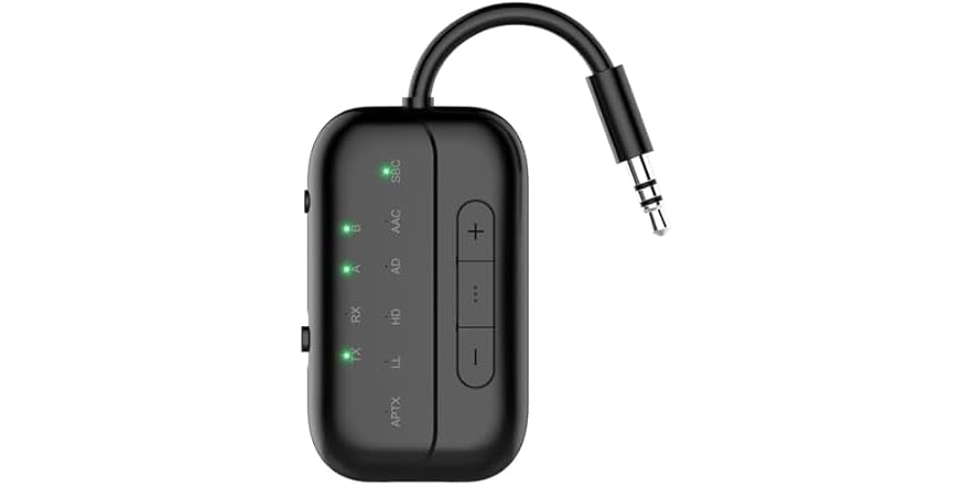 Beeitzie V5.3 Transmitter Receiver