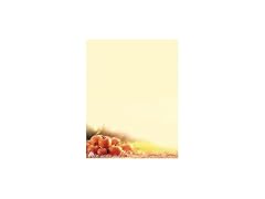 Great Papers! Glistening Pumpkins Letterhead