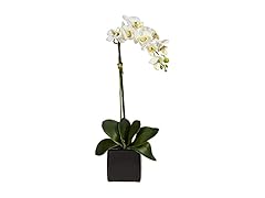 20in. Orchid Artificial Arrangement