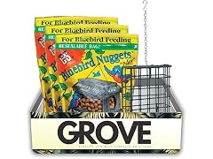 GROVE 3X C&S Bluebird Blueberry Suet Nuggets