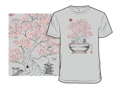 Blossom World