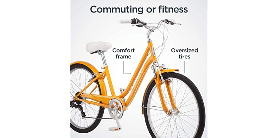 schwinn suburban womens