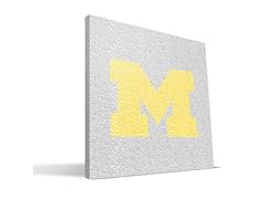 Michigan Wolverines