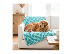 Looney Tunes Tasmanian Devil Pet Throw & Squeaky Pillow Set
