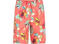 Kanu Surf Men's Quick-Dry Bathing Suit (X-Large)
