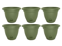12" Lucca Planter Living Green, 6 pack