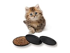 Fhiny Ceramic Shallow Cat Dish