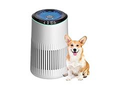 Small Air Purifier for Bedroom White