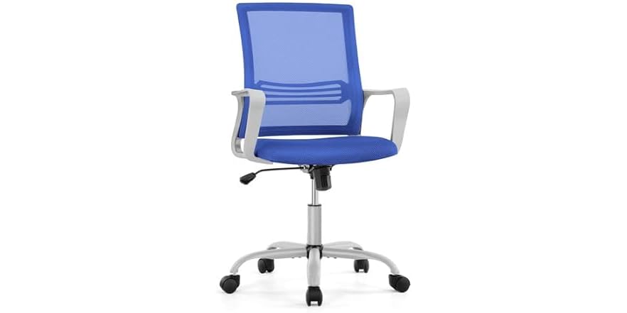 OLIXIS Ergonomic Home Office Chair - Rol