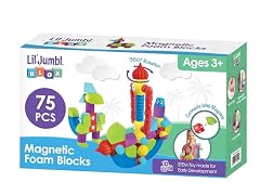 Lil' Jumbl LIJMFB75S Mag Blocks 75pc