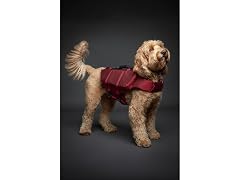 NOAH & PAW Dog Life Jacket- Large