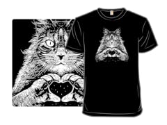 Maine Coon Affection