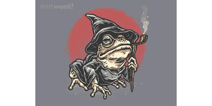 Frog Wizard 4 In The Wizard Frog