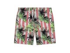 Hurley Vacay Stripe Pull On Swim Trunk (Small)