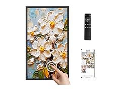 Dragon Touch 21.5" Digital Picture Frame