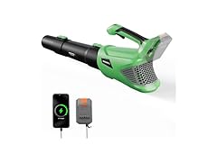 WORKPROX Leaf Blower Cordless w/Battery and Chgr