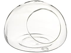 WGV Clear Half-Round Wall Hanging Terrarium/Glass Vase, 6 by 4-Inch