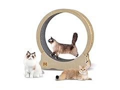 Cat Exercise Wheel for Indoor Cats
