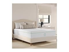 Martha Stewart 12" Queen Foam Mattress