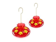 SIXTOYZF Plastic Hummingbird Feeders