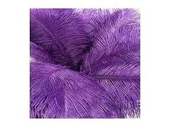 AABABUY 10pcs Ostrich Feathers 16-18inch (Purple)